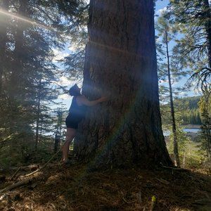 Meet your Posher, Gina